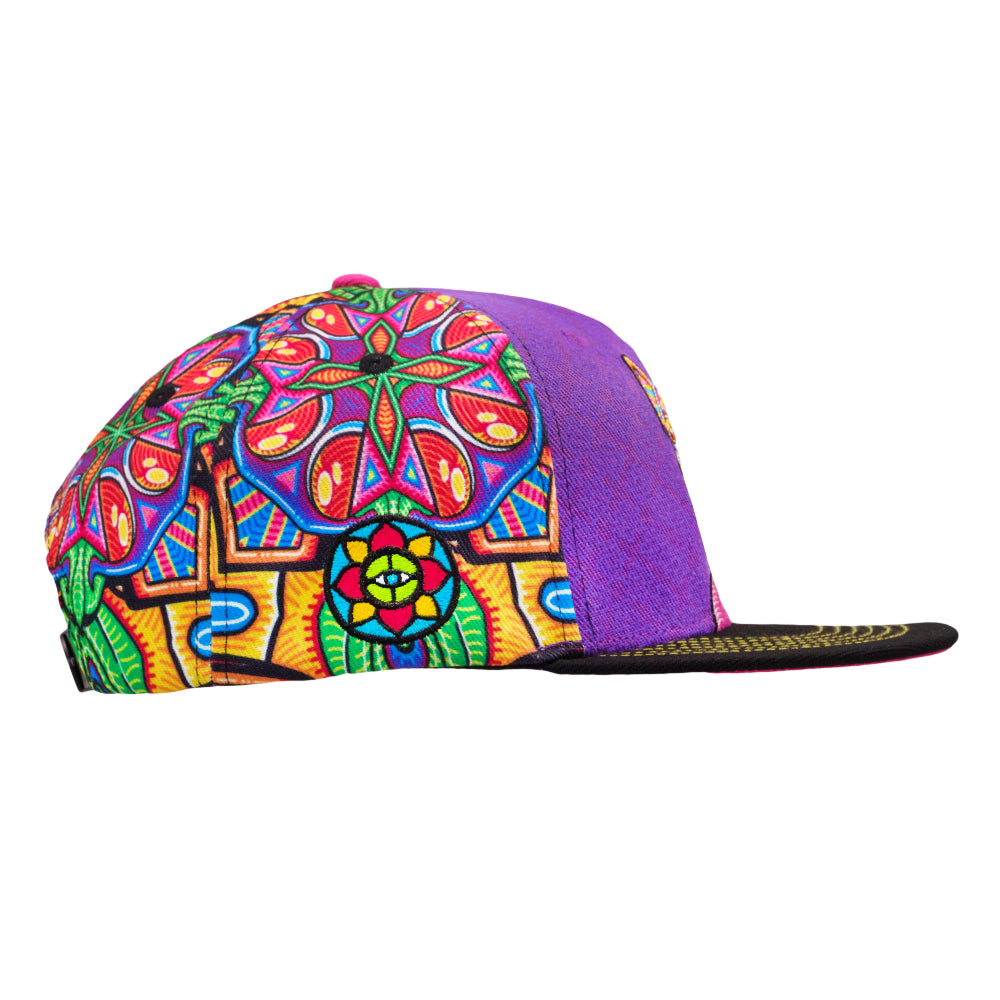 Grassroots Dog Purple Snapback Hat