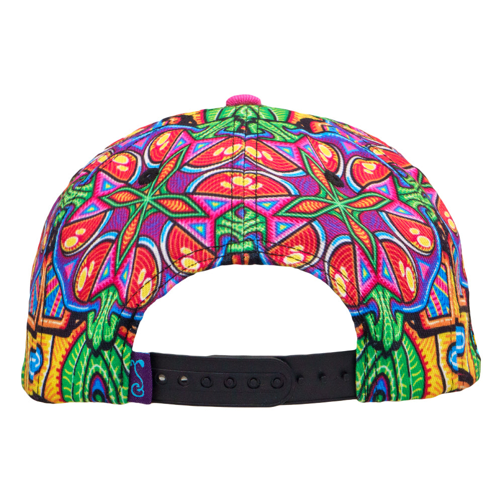 Grassroots Dog Purple Snapback Hat