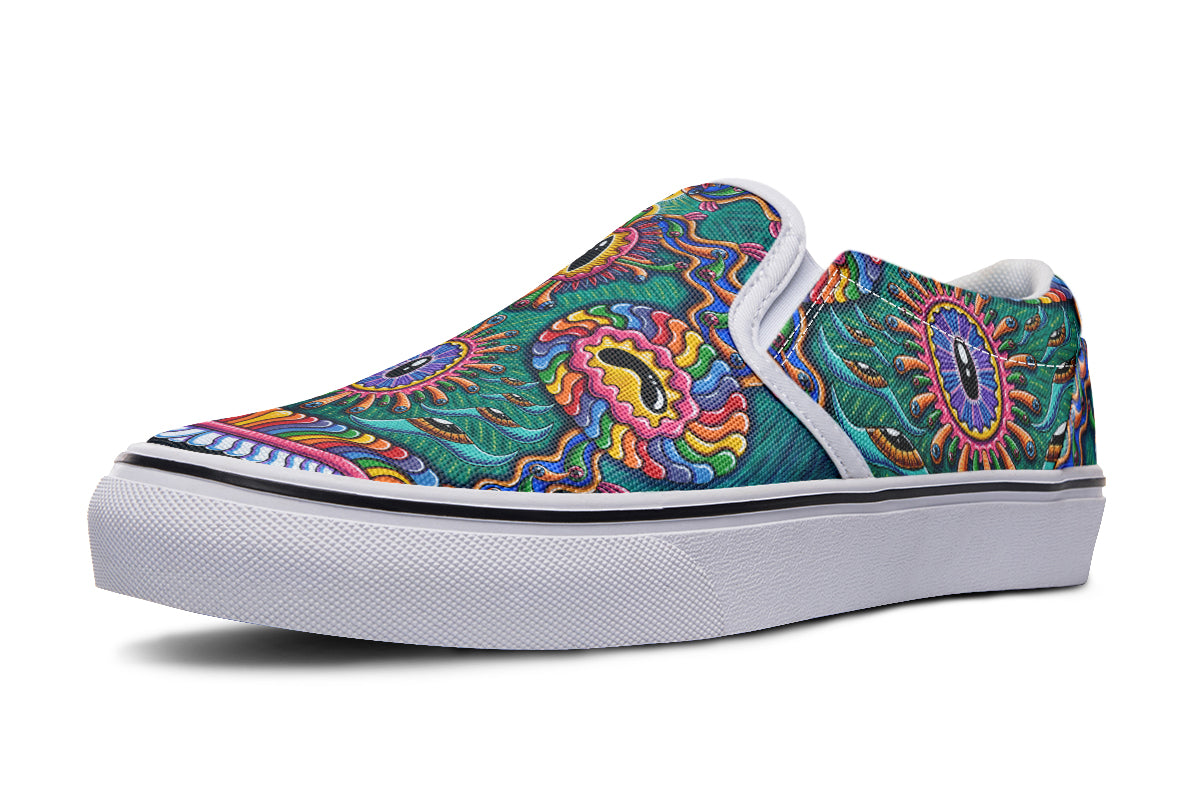 "Bribribribribribribribri" Slipons
