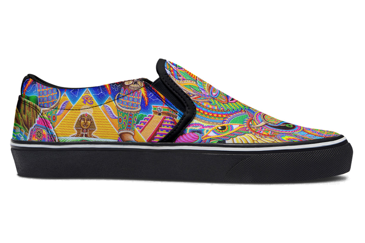 "Neo Human Evolution RGB" Slipons