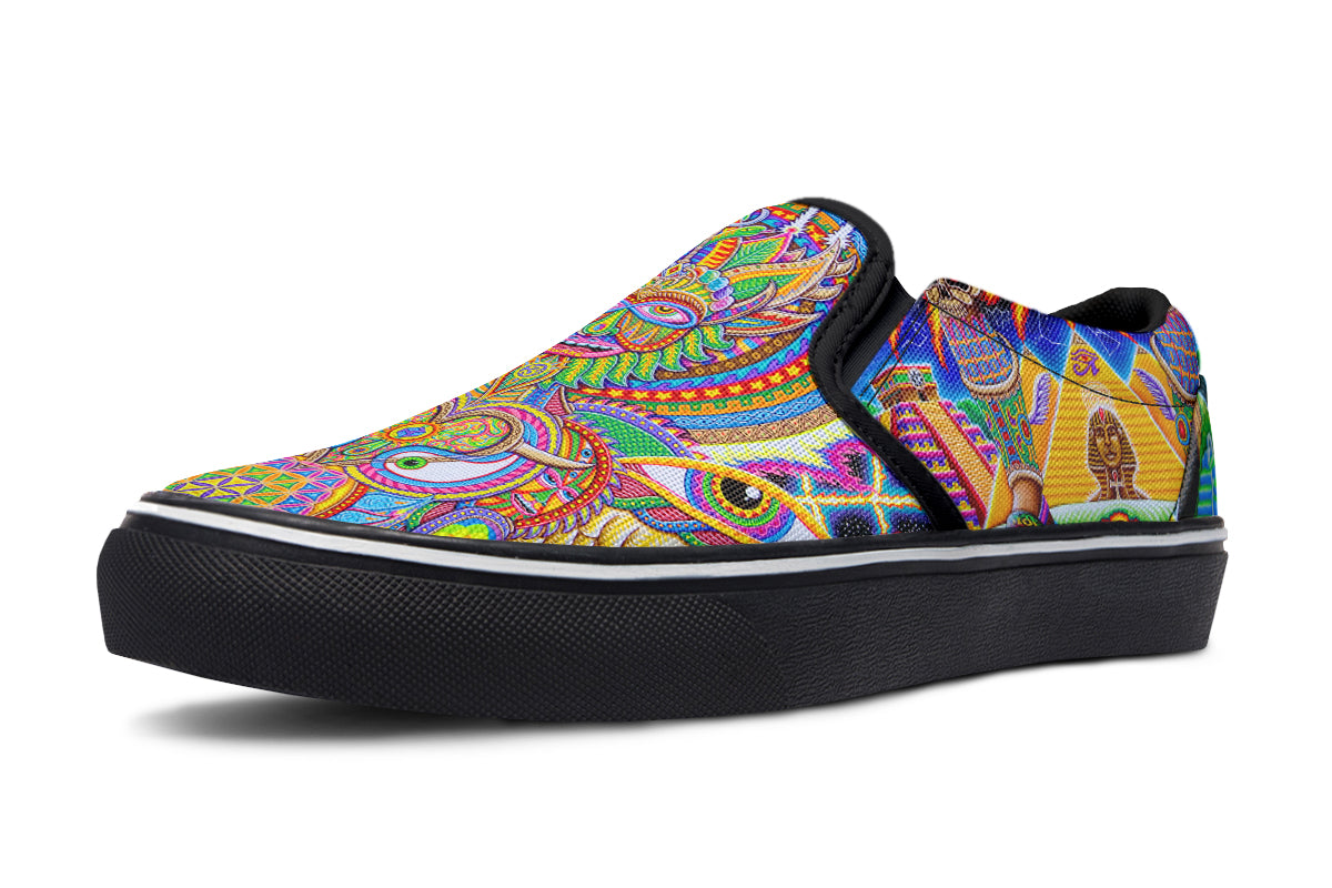 "Neo Human Evolution RGB" Slipons