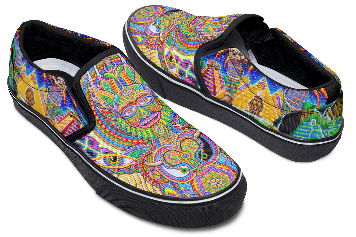 "Neo Human Evolution RGB" Slipons