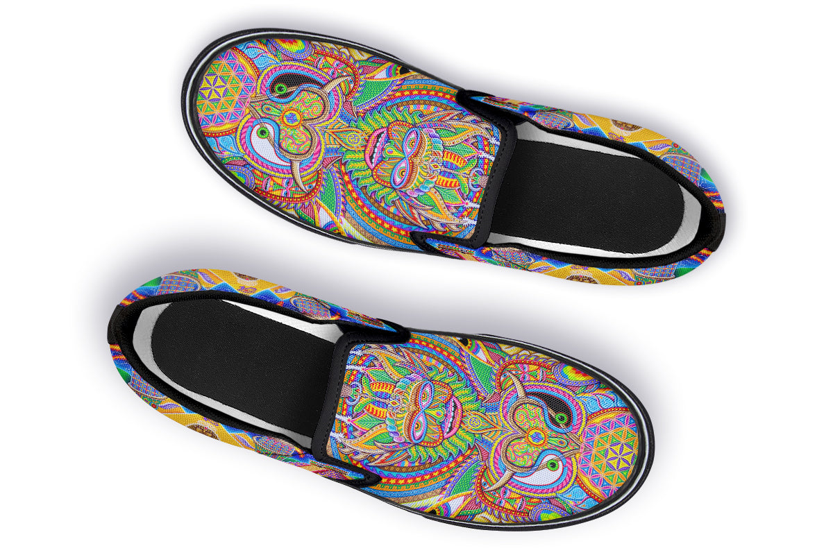 "Neo Human Evolution RGB" Slipons