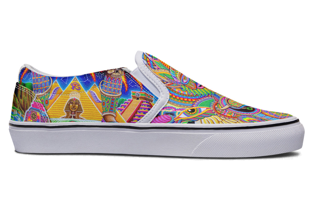 "Neo Human Evolution RGB" Slipons