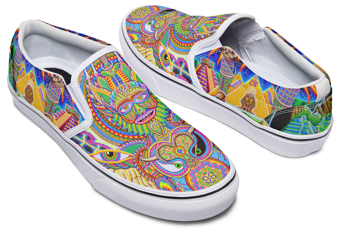 "Neo Human Evolution RGB" Slipons