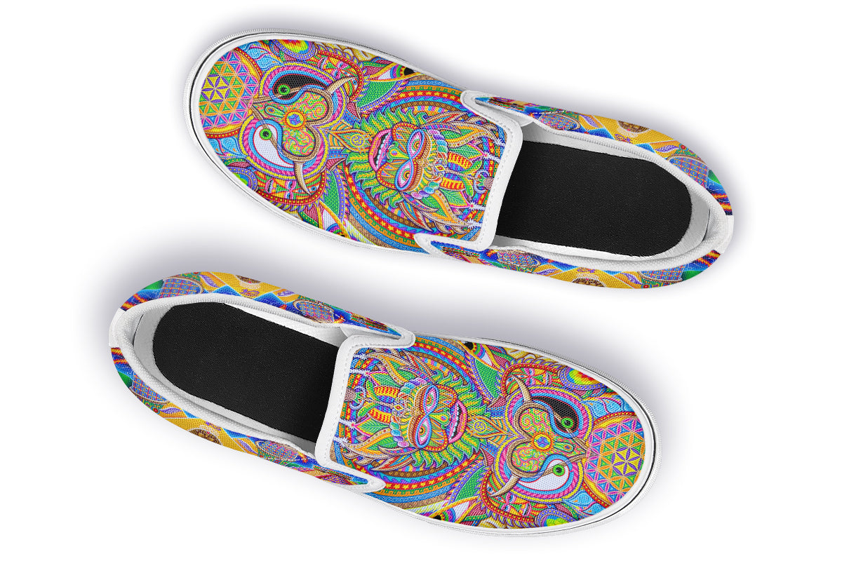 "Neo Human Evolution RGB" Slipons