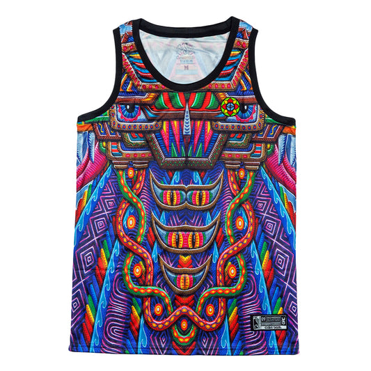 Grassroots California Freesponsable Rainbow Basketball Jersey
