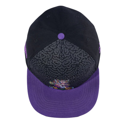 Galaktic Gang Purple Snapback Hat